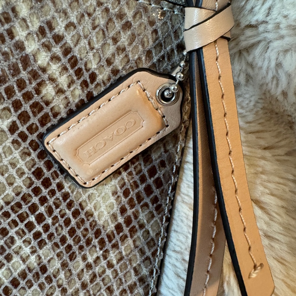 Coach Clutch Python Print Leather - image 2